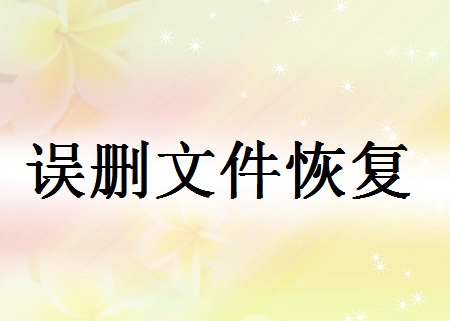 誤刪文件如何恢復(fù)？三種方法教你起死回生！