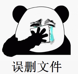 電腦誤刪圖片怎么恢復(fù)？教你4個好方法快速恢復(fù)！