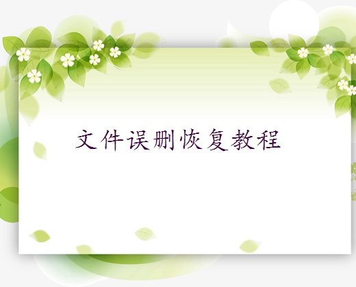電腦文件誤刪除如何恢復(fù)？試下這四招！
