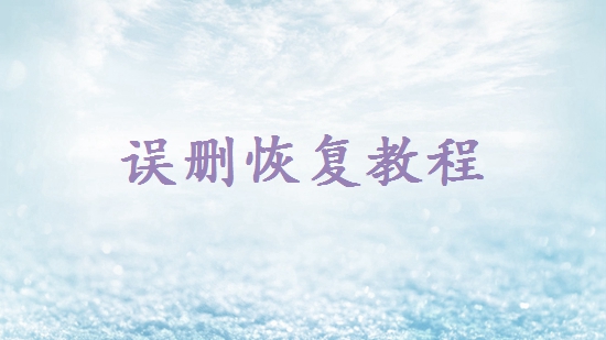 誤刪的文件回收站沒有怎么恢復(fù)？別擔(dān)心，這里有恢復(fù)方案！