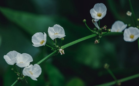 不小心把照片全刪了怎么恢復(fù)？這里有全面的恢復(fù)策略！