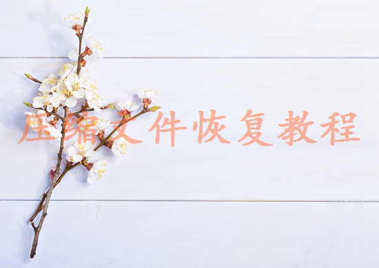 重慶數(shù)據(jù)恢復(fù)公司有哪些？推薦幾個專業(yè)找回您的寶貴數(shù)據(jù)！