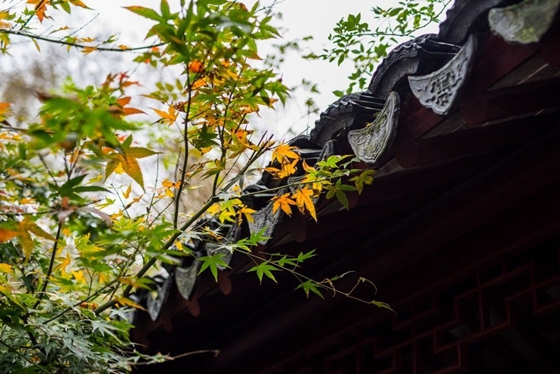 最近刪除的照片刪除怎么恢復(fù)？可嘗試這幾種方法！