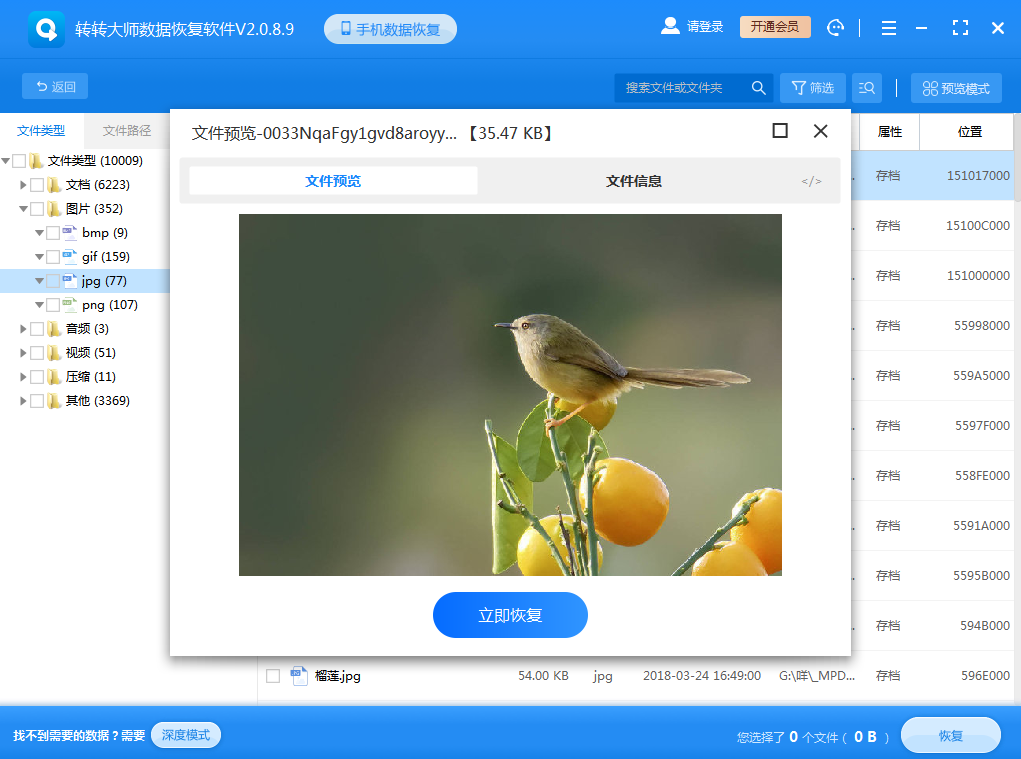 數(shù)據(jù)恢復(fù)軟件步驟五