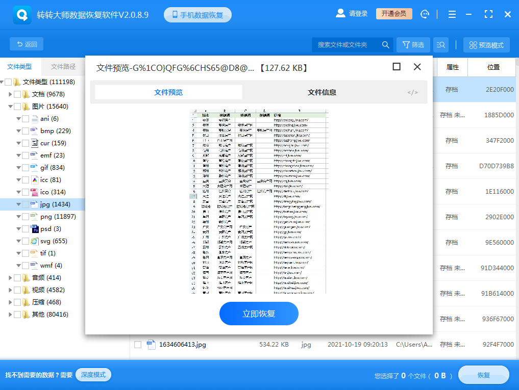 使用專業(yè)的文件恢復(fù)軟件步驟四