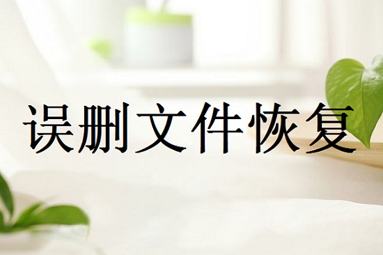 電腦文件誤刪除如何恢復(fù)？誤刪數(shù)據(jù)恢復(fù)，三種方法就可以解決