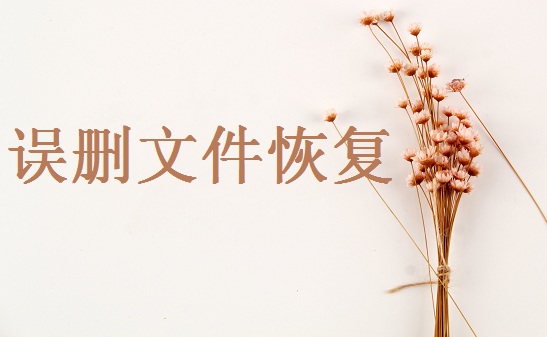 電腦上不小心永久刪除了怎么恢復(fù)？分享四個(gè)方法,輕松實(shí)現(xiàn)文件恢復(fù)！