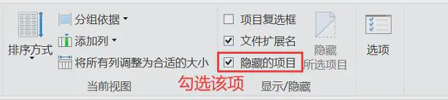 顯示隱藏文件