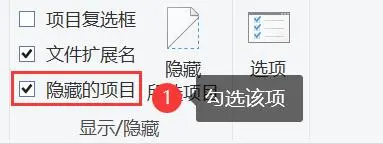檢查隱藏文件