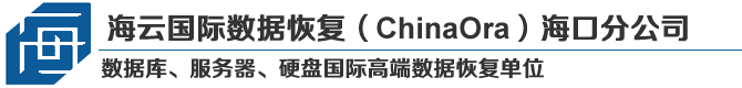 3. 海云數(shù)據(jù)恢復