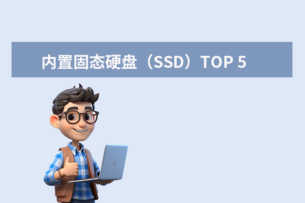 內(nèi)置固態(tài)硬盤（SSD）TOP 5
