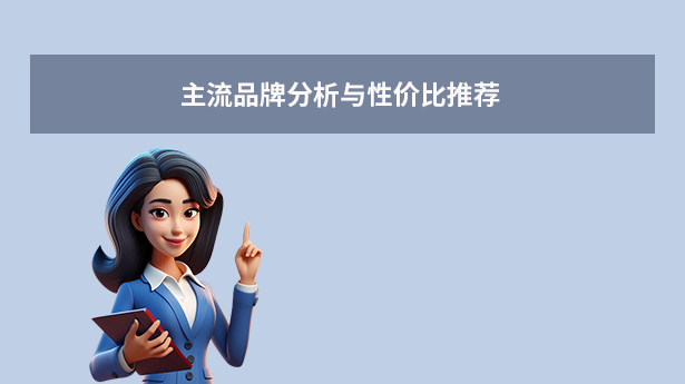 主流品牌分析與性價比推薦
