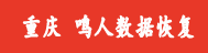 2. 鳴人（重慶）數(shù)據(jù)恢復(fù)中心