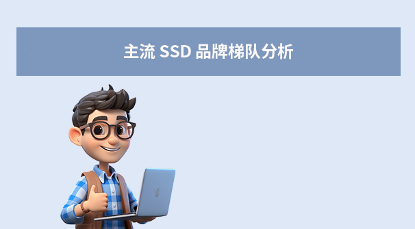 主流 SSD 品牌梯隊分析：