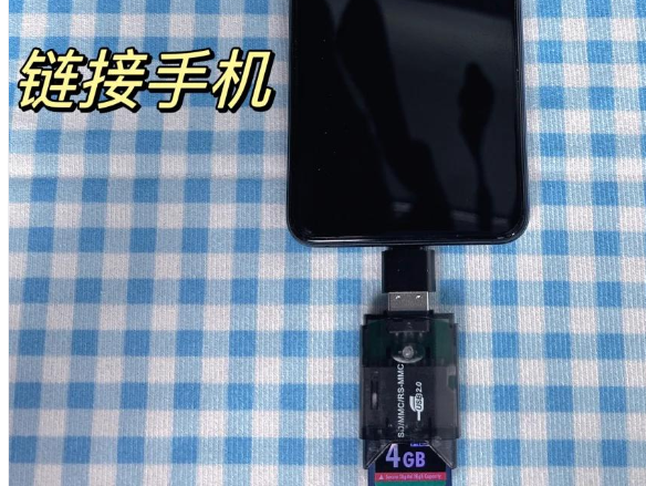 通過 DJI Fly / DJI GO 4 App 格式化 (便捷之選)